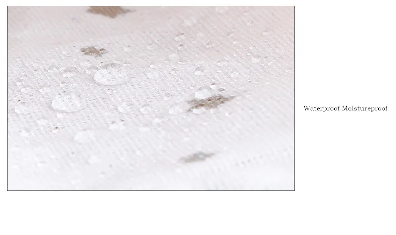 4337010019_127379398