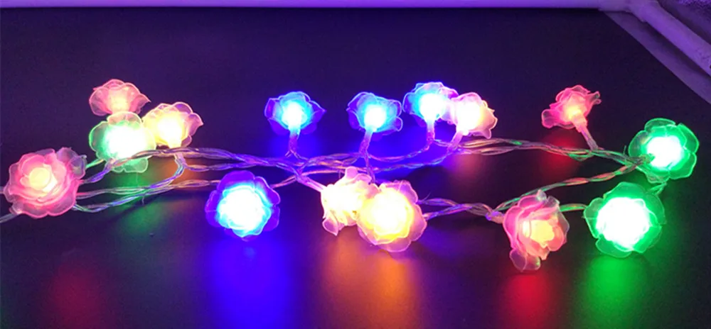 COLOR ROSE LIGHTS