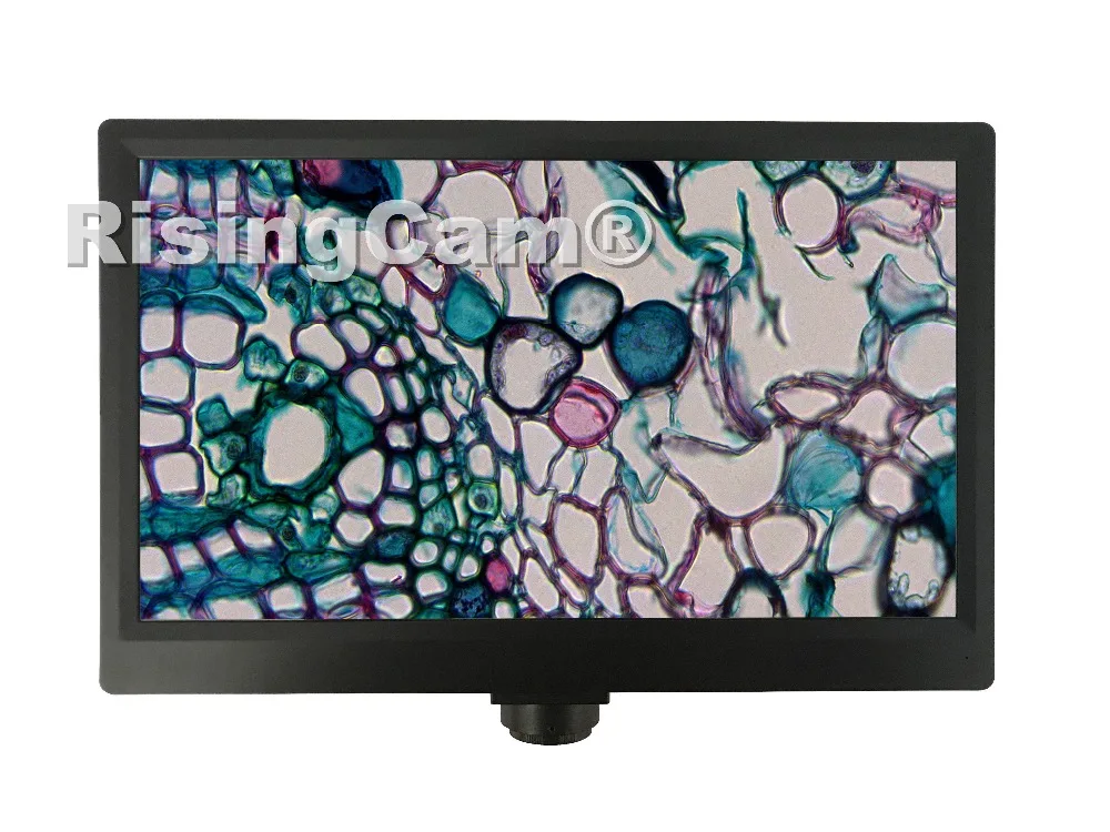 YW3610-3