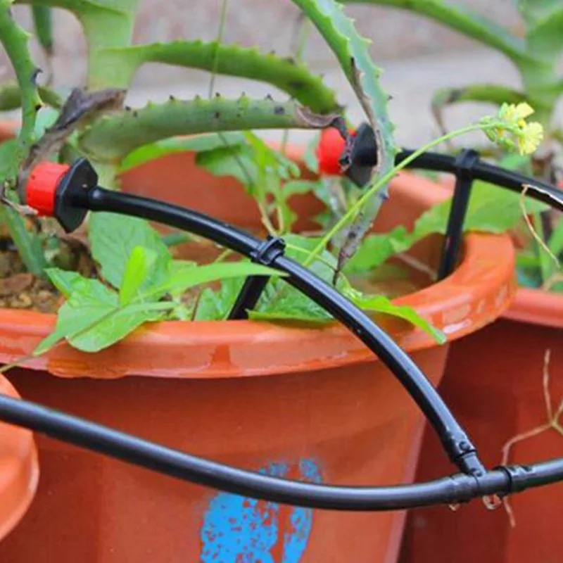 HTB1ltZQOpXXXXaSXpXXq6xXFXXXM