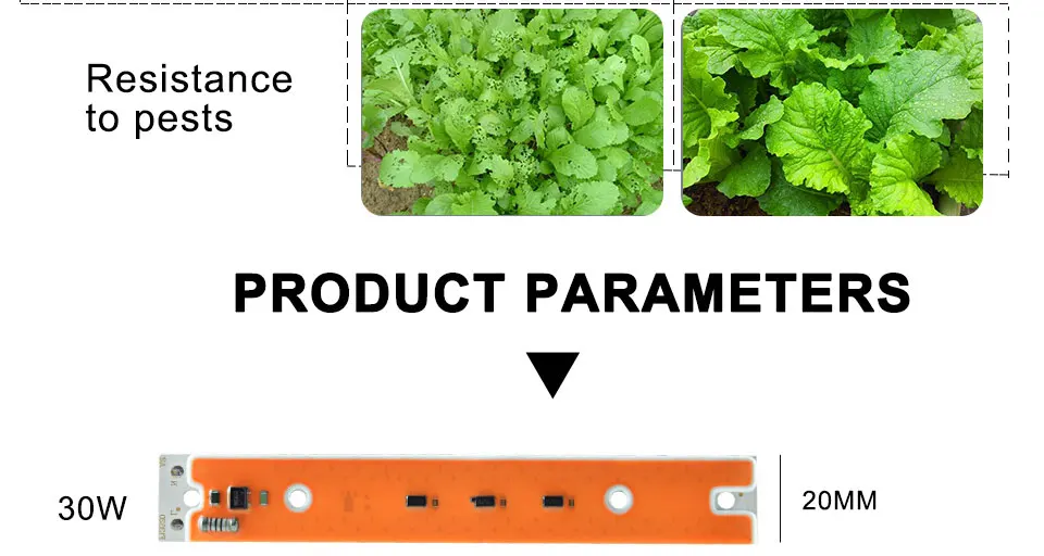 COB led plant grow light (8)
