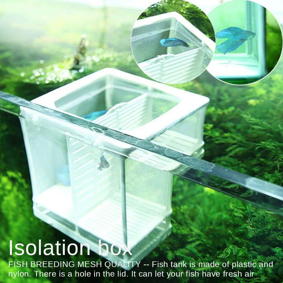 

Aquarium Fish Breeding Breeder Box Fish Hatchery Isolation Net Fish Tank Incubator Box Hanging Aquarium Accessory Supplies