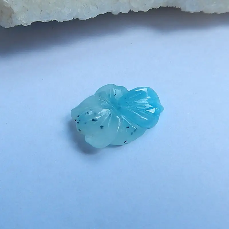 DSCN9376_