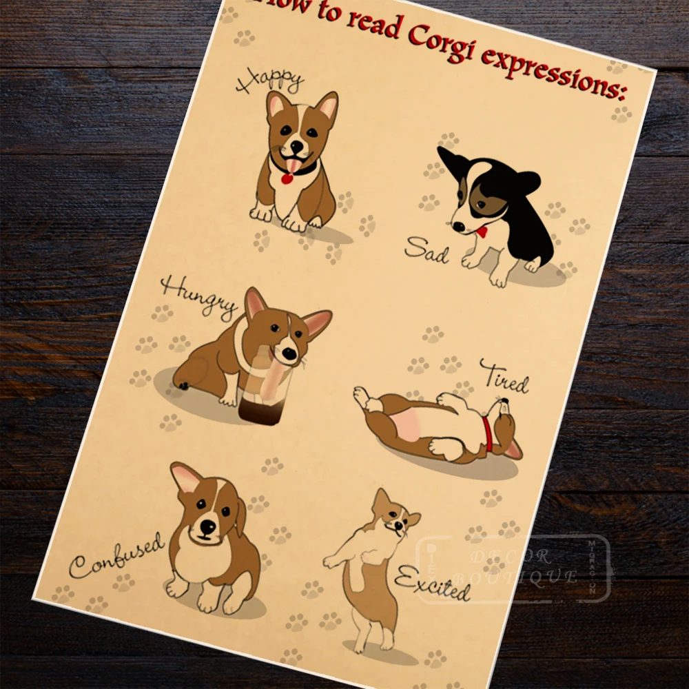 

Cartoon How to Read Corgi Dog Expressions Retro Vintage Kraft Poster Decorative DIY Wall Sticker Home Bar Posters Decoration