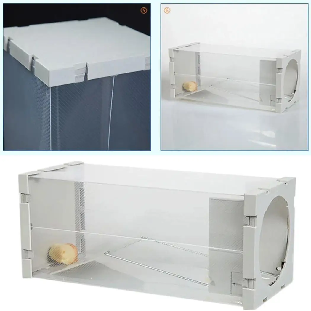 

Mouse Trap Pest Repeller Animal Control Rat Blue Trap Home, Cage Home Garden Humane