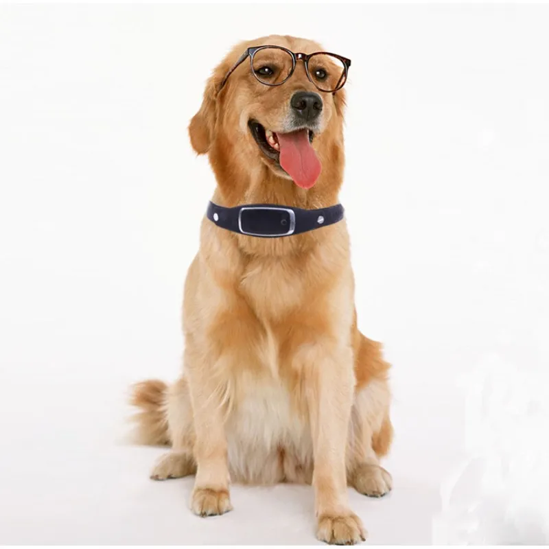 S1 Pet gps воротник Мини Водонепроницаемый ошейник для домашних животных трекер LBS +