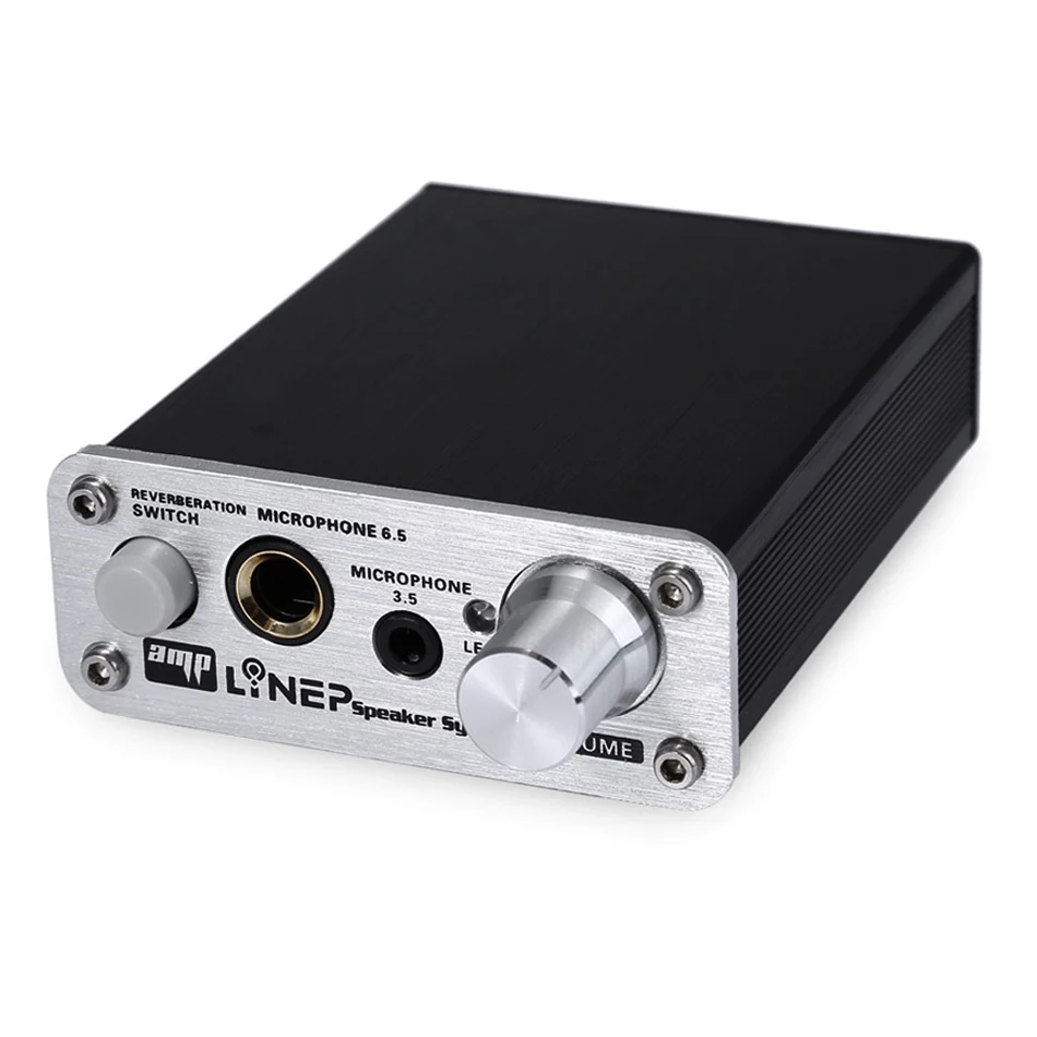 Microphone Preamp 2-Way MIC Pre-Amplifier Reverberation