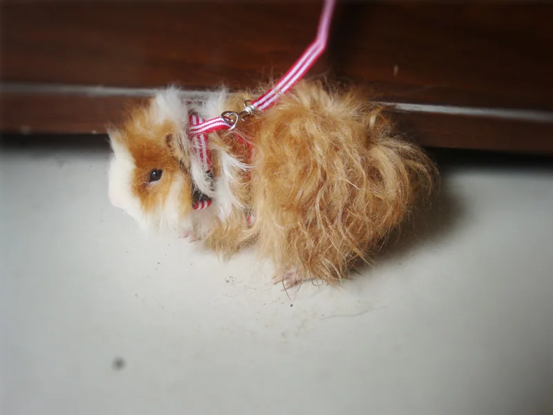 Buy Guinea pig baby looter small pet traction belt traction rope walking the