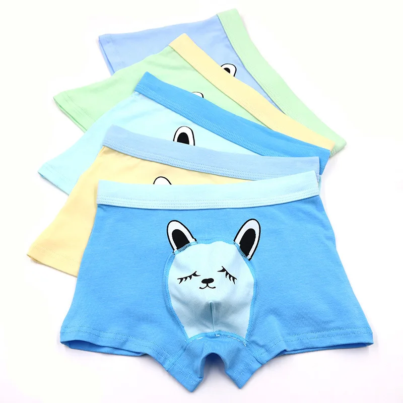

5pcs/Set 2-11Years Boy Briefs Cute Shorts Children Underwear For Boys Cotton Boxer Underpants Kids Print Panties Boxer Brisfs