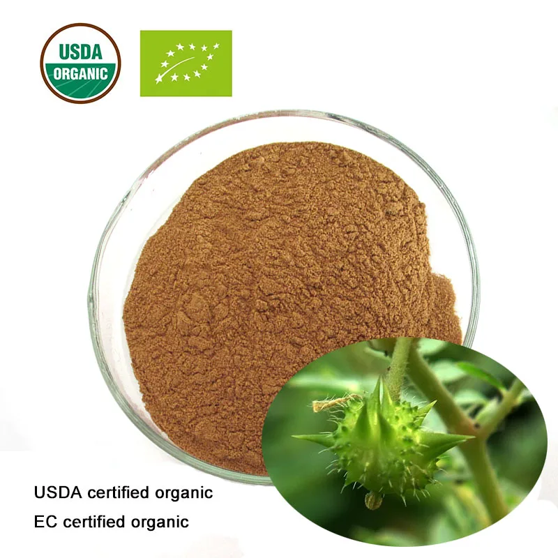 

USDA and EC Certified Organic tribulus terrestris extract 20:1