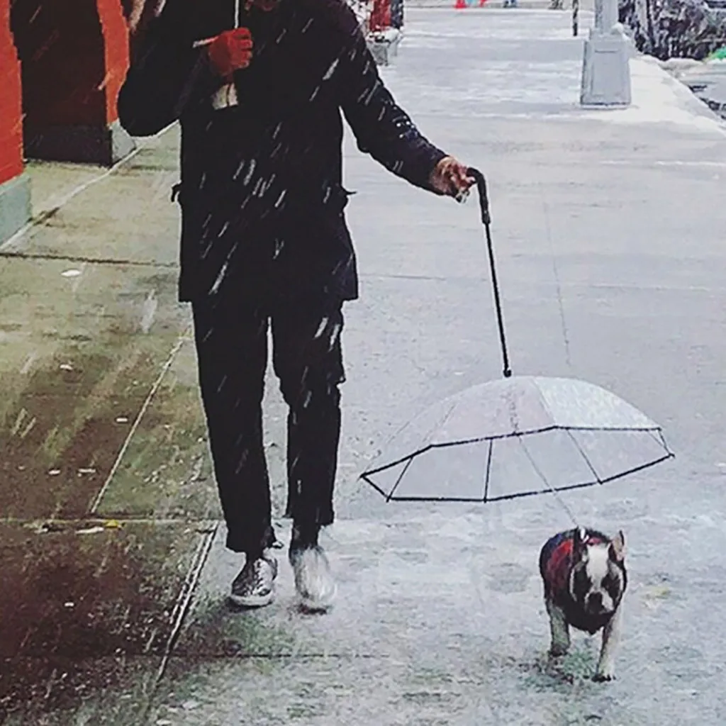 Transer Топ прозрачный зонт для домашних животных Портативный ...