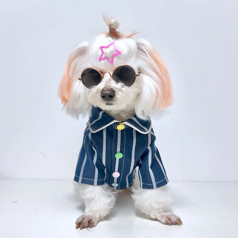 

Cat Clothes Tide Brand British Short Pet Net Red Cat Teddy Short Anti-hair Hair Spring and Summer Thin Section Hoodie XXL