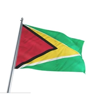 Горячие продаж Гайана(GY) флаг полиэстер 5*3 фута 150*90 см все цвета логотипы