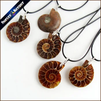 

Natural Stone Ammonite Fossils Seashell Snail Pendants Ocean Reliquiae Conch Animal Necklaces Statement Men Jewellery 1PCS KS256