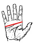 handsize.JPG