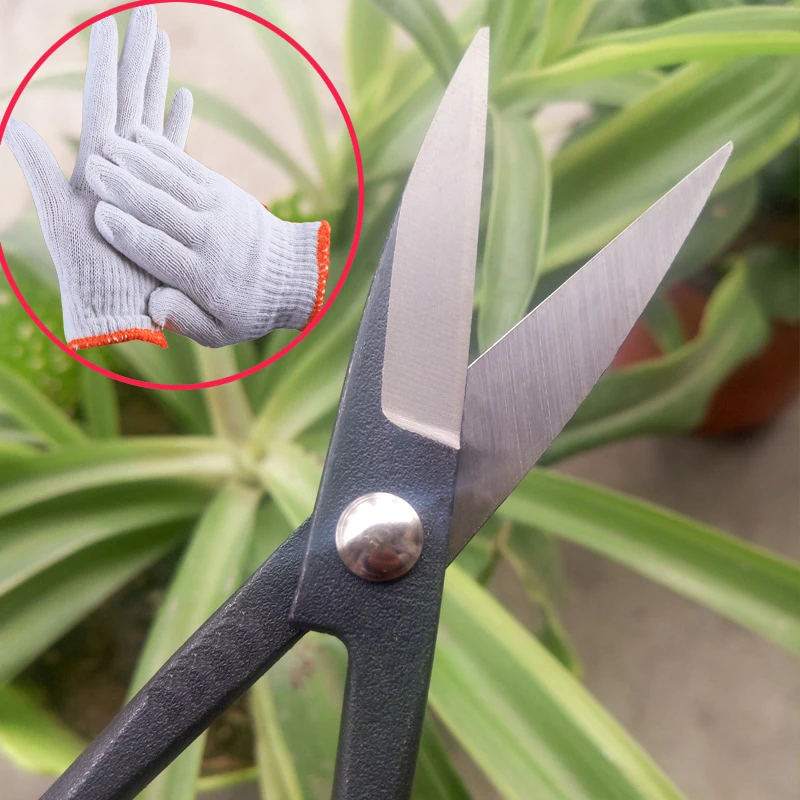 

# New 185mm (7") Beginner Bonsai Tool Long Handle Scissors Gardening Plant Branch Shears New with 1 pair gloves