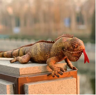 

Free shipping 68cmSimulation lizards chameleon reptiles stuffed doll toy doll teaching