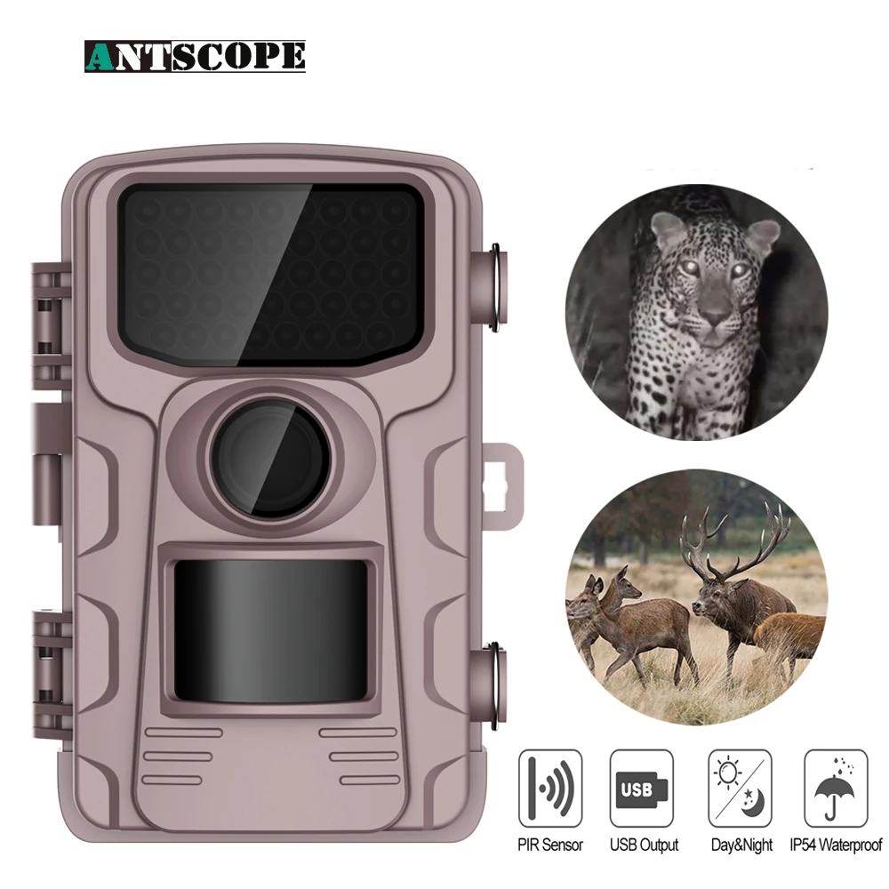 

Wild Animal Surveillance Camera COMS Photoreceptor 85 Degree Infrared Night Vision Waterproof Camera Long Standby Hunting Camera