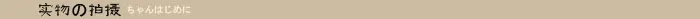 aeProduct.getSubject()