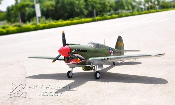 p40 g-1