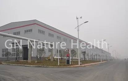 GMP Factory suppy Co Q10 98% (коэнзим Q10) 100 граммов Бесплатная доставка антиоксидант
