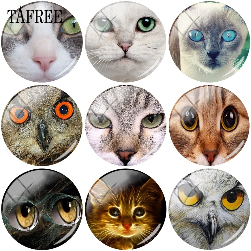 

TAFREE Lovely Animal Cat Owl Picture 25mm Round Glass Beads Cabochon Dome Pendant Settings Jewelry
