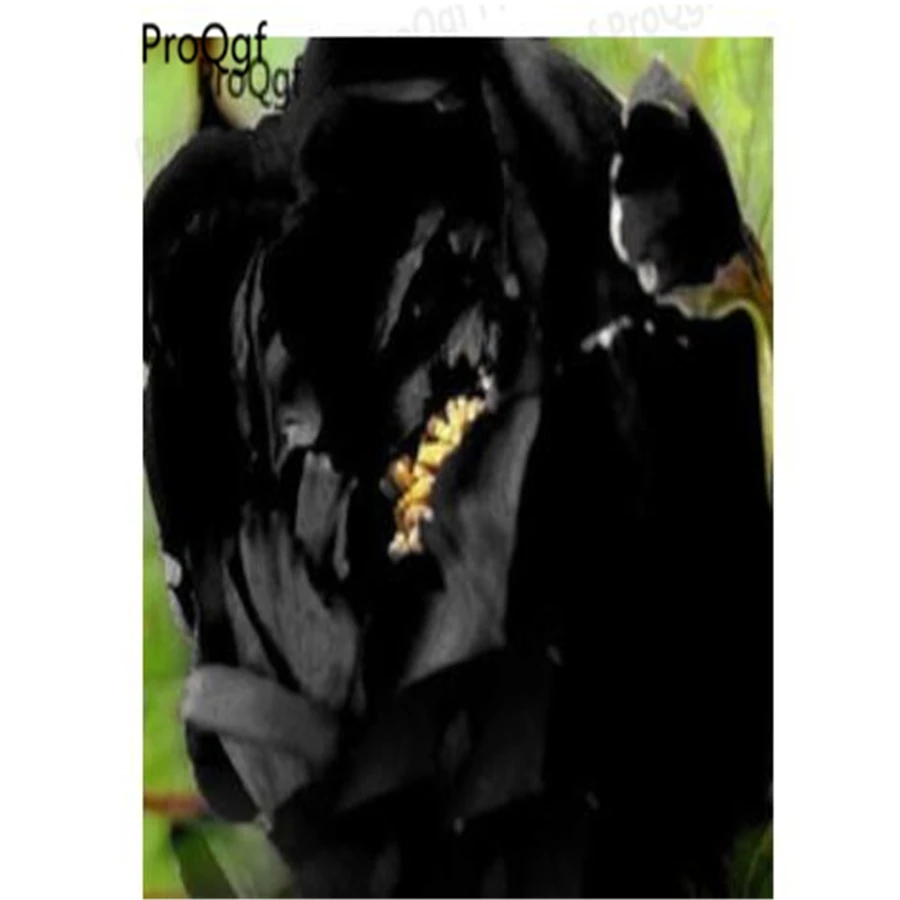 

Ngryise 15Pcs A Set Paeonia lactiflora Peony