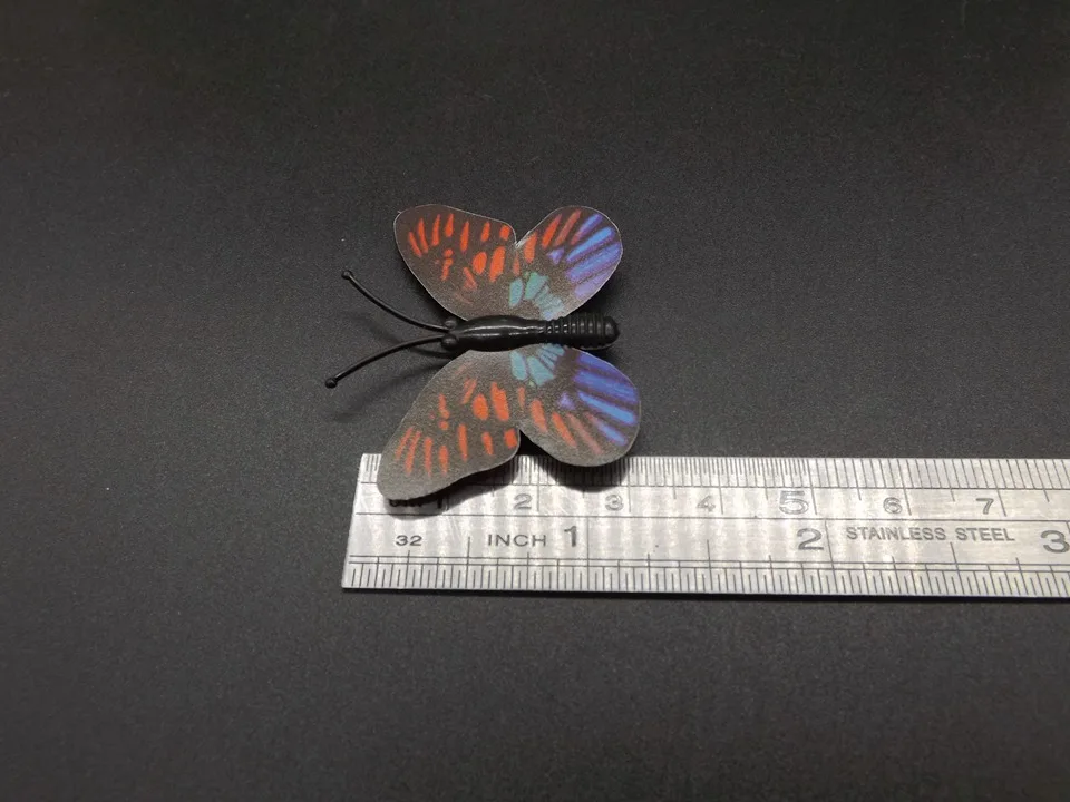 I246-Butterfly (11)