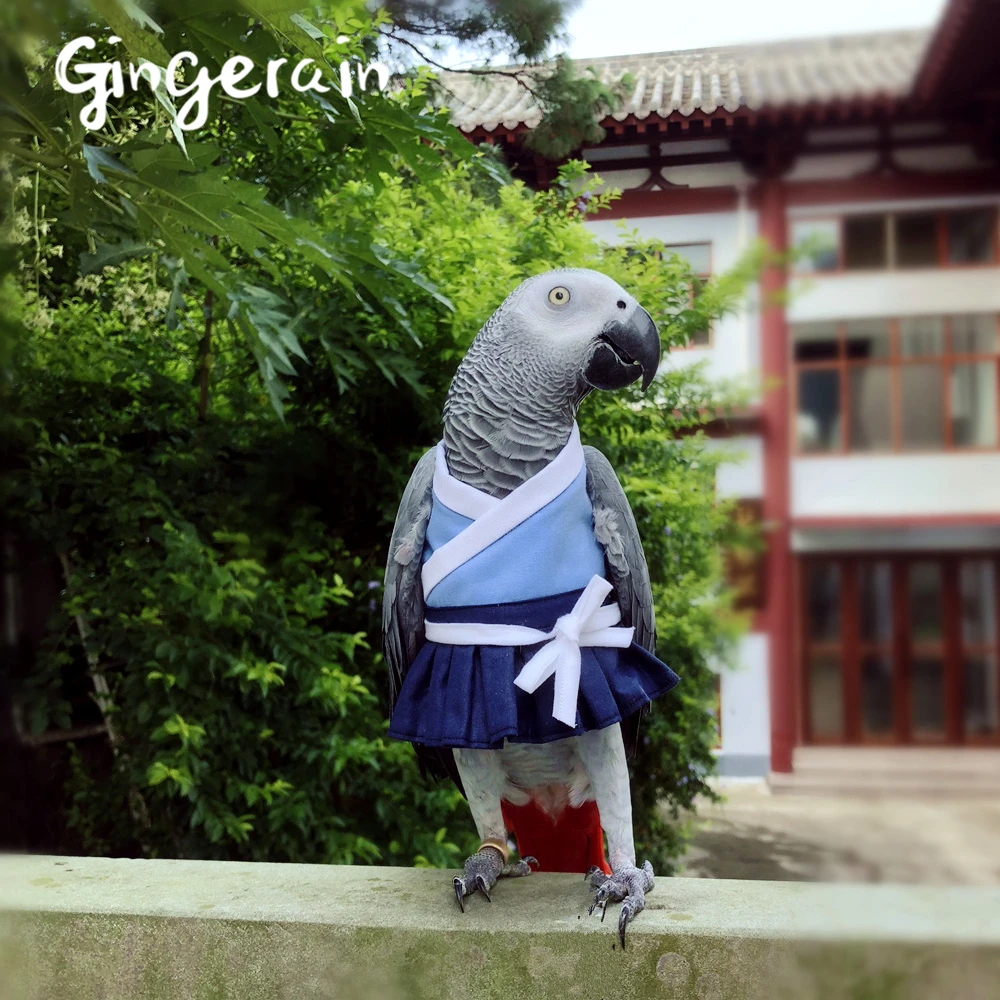 

Gingerain Bird clothes Parrot clothes Shuiyao original hand-made custom bird clothes Hooded Sweater Shuiyao