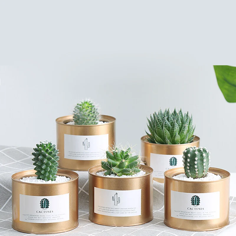 

2018 INS Creative Metal Potted Flower Pot Flower Garden Retro Pastoral Style Painting Iron Storage Container Desktop Decoration