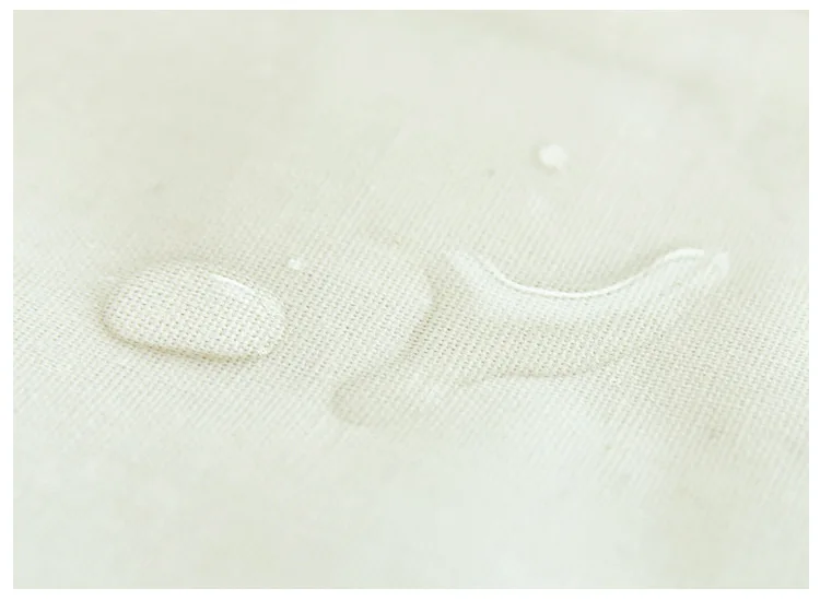 2625488811_1737527223