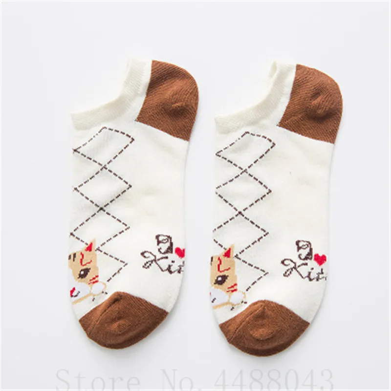 3553068144_150351792.400x400