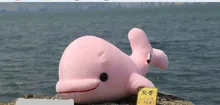 small cute plush dolphin toy stuffed pink big head whale doll birthday gift about 23cm