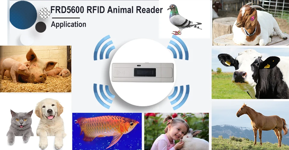 Бесплатная доставка ISO11784/5 FDX-B EMID Pet ID сканер мини карман микрочип rfid ухо tag reader для скота животных идентификации