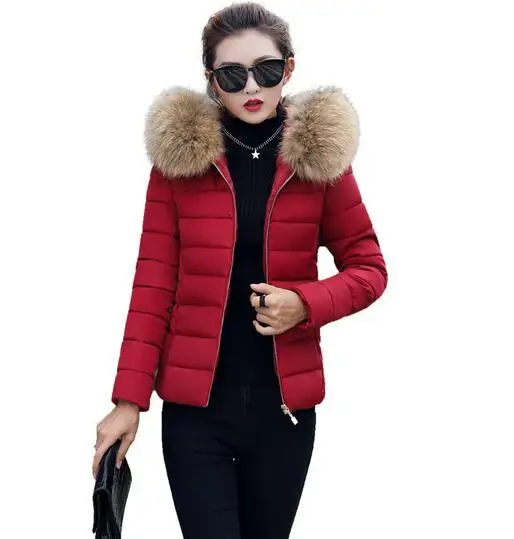 Winter new short large fur collar cotton female Korean version of the slim slimming cotton down jacket