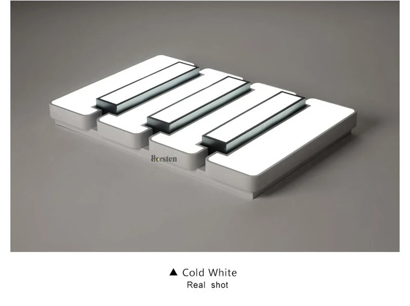 Creative Modern Ceiling Lights Black and White Iron Acrylic Ceiling Lamp For Living Room Bedroom Remote Control Lighting Fixtures (9)