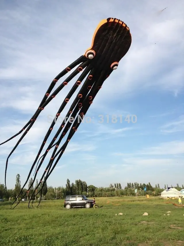593788990_o.jpg