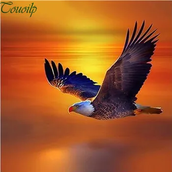 

EAGLE ORANGE SUNSET DIAMOND PAINTING KIT - DIY