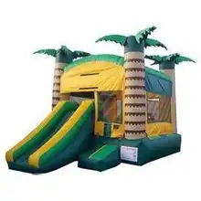 new design commerial use inflatable slide combo/customized inflatable bouncer combo