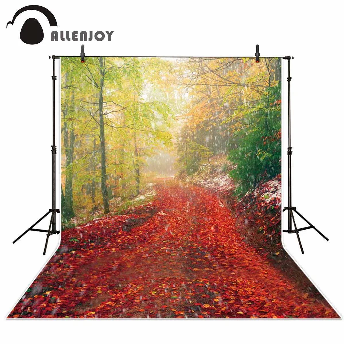 Buy Allenjoy photography background autumn forest path leaves bokeh studio