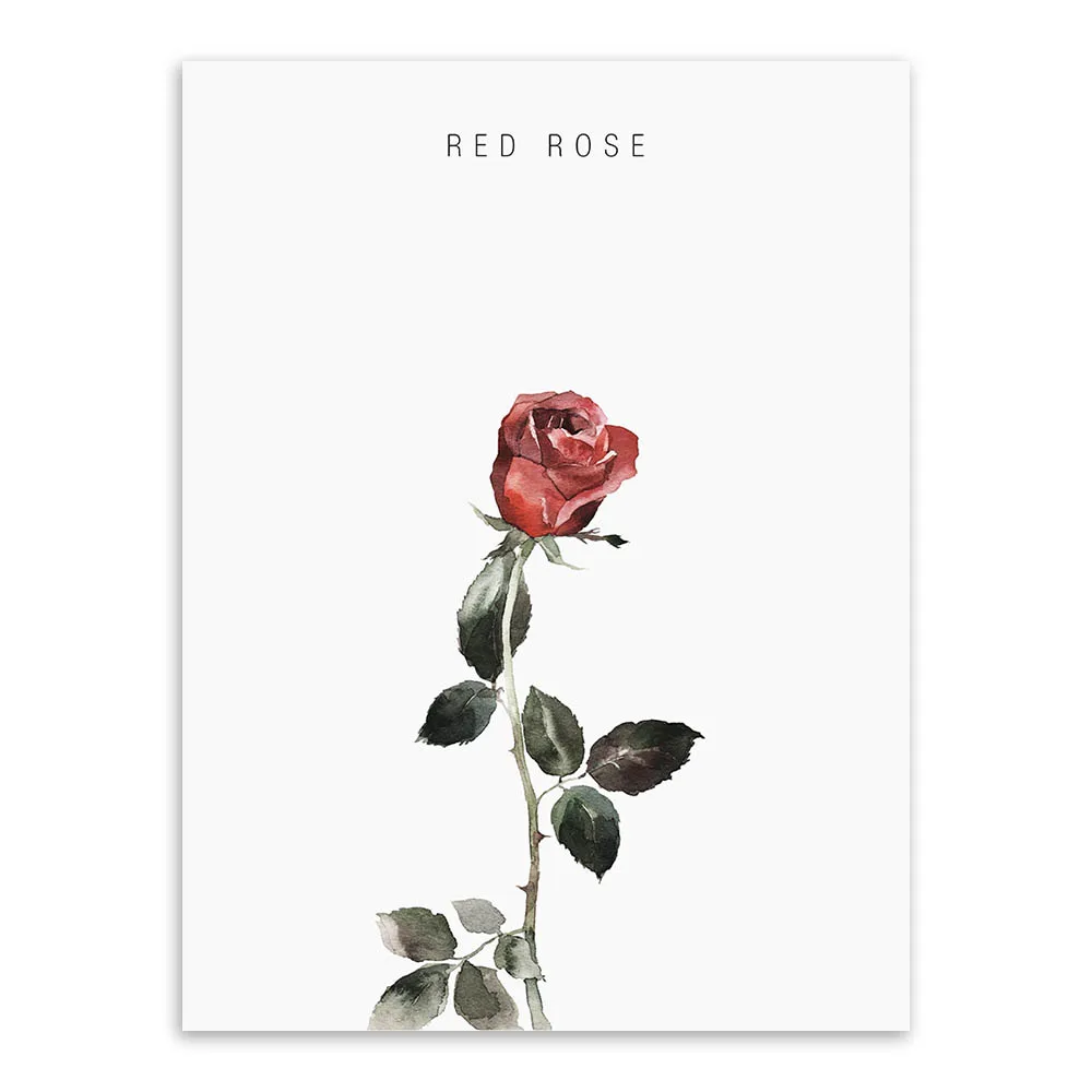 HTB1GqDiePgy_uJjSZLeq6yPlFXaJ