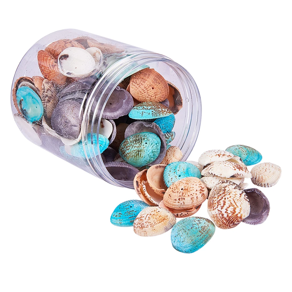 

A Box of About 100-120pcs Assorted Colors Seashells Oval Sea Shells with Hole for Craft DIY Aquarium Fish Tank Home Decoration