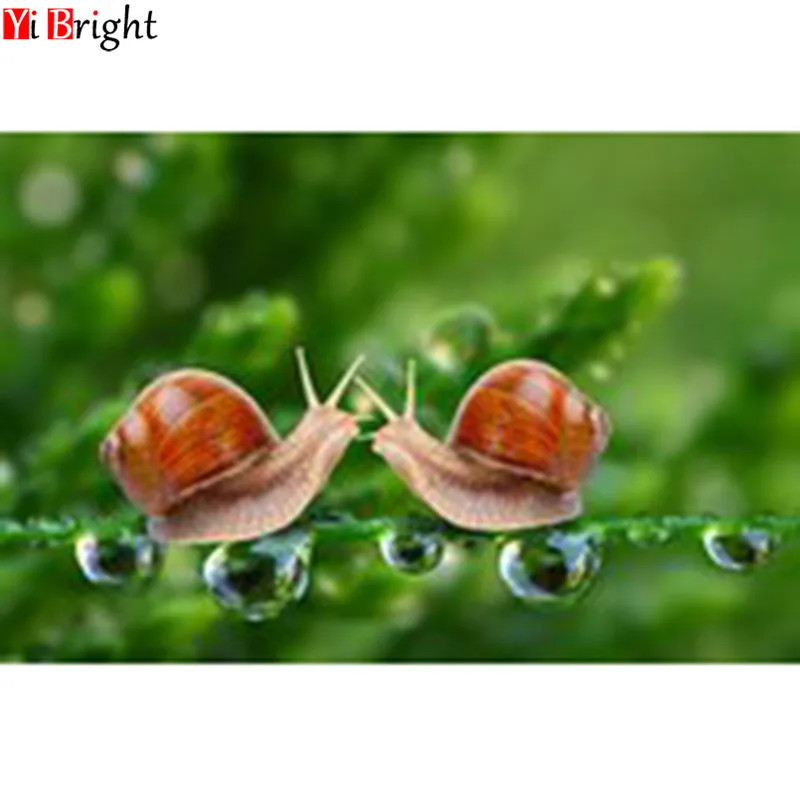 

Full Square&Round Drill 5D DIY Diamond Painting snails cross stitch crystal round diamond LK1