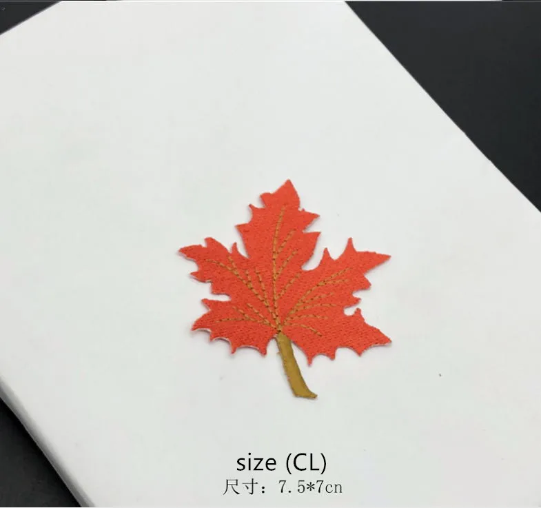 1.3  (1)