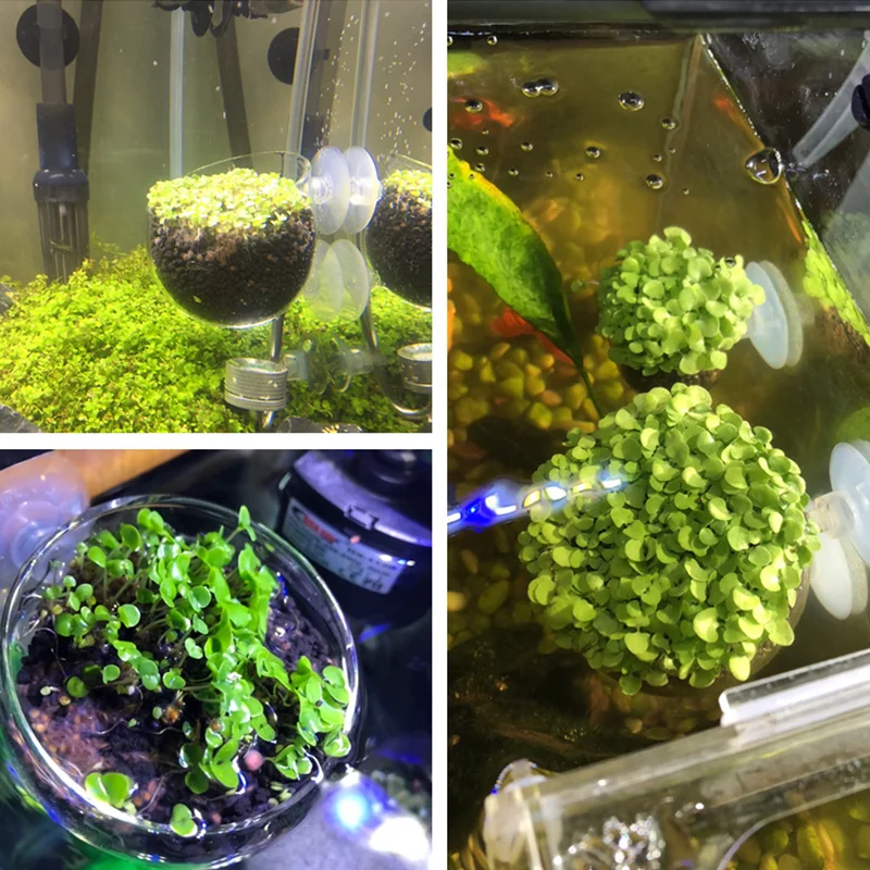 Mini Crystal Glass Fish Tank Plant Bonsai Pot Cup Aquarium Water Plant Grass Potted Cylinder Cup For Aquatic Decoration