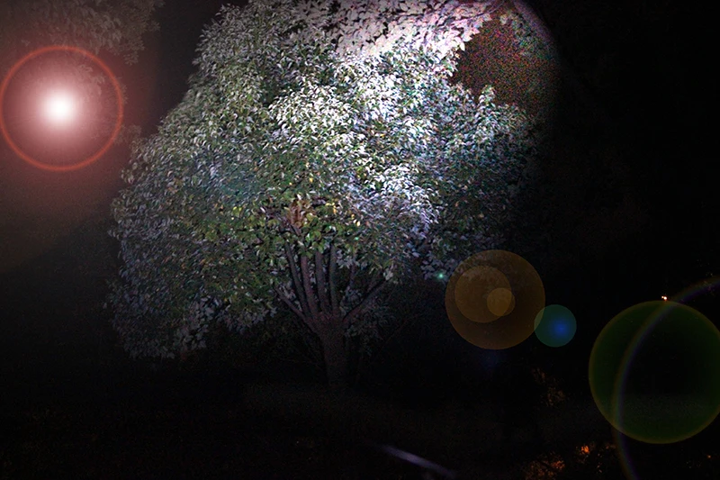 002(1)