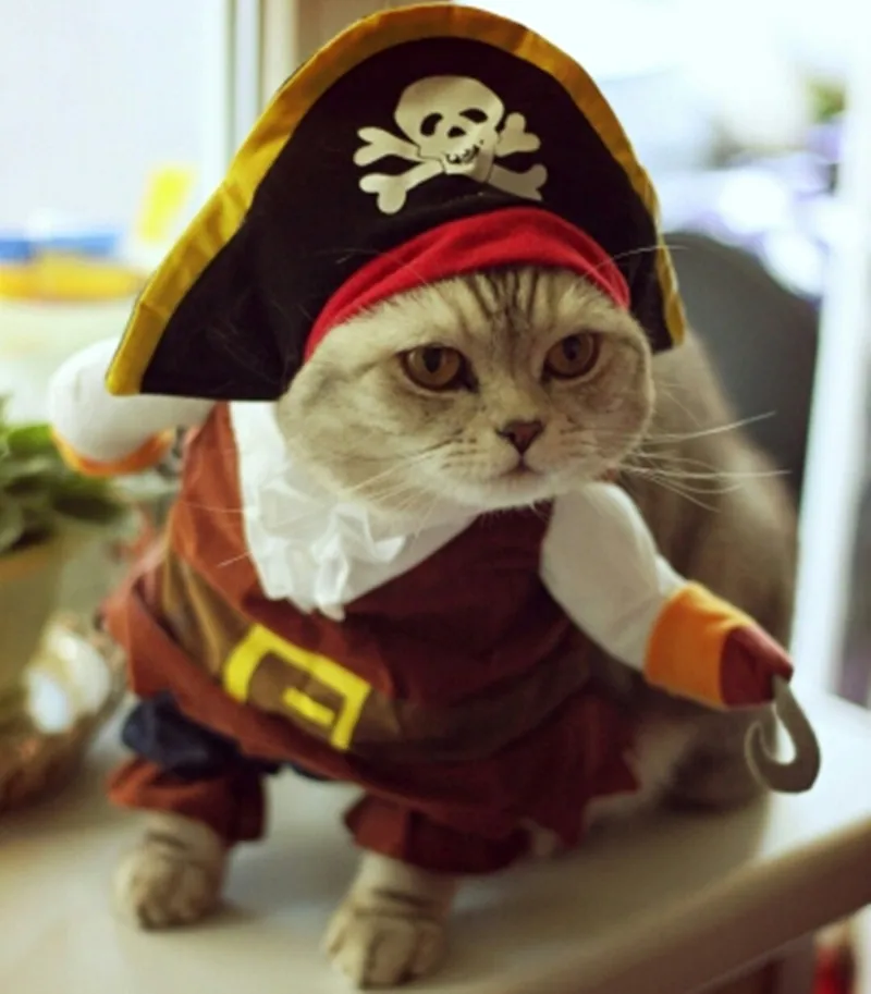 https://ae01.alicdn.com/kf/HTB1Je6fJVXXXXcvXFXXq6xXFXXXf/-font-b-Funny-b-font-font-b-Pirate-b-font-Pet-Cat-Costume-Suit-Cat.jpg