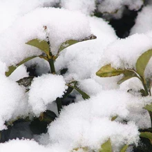 Искусственные снежинки поддельные Волшебные мгновенный снег украшения для праздника для вечеринки для сада Рождество Свадьба искусственный снег