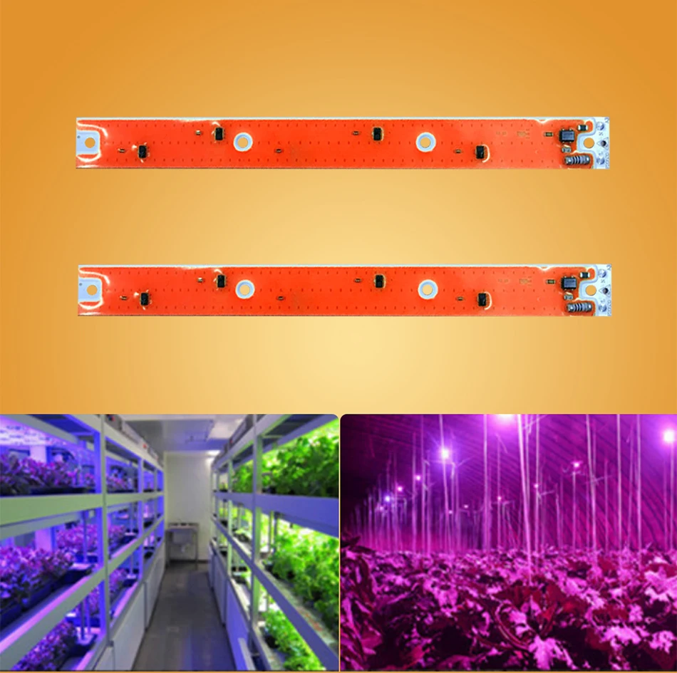 Полная лампа полного спектра Cob Led Grow Light Chip DIY 20 Вт 30 Вт 50 Вт домашняя игровая палатка коробка садовая Гидропоника растение цветок Цветение AC