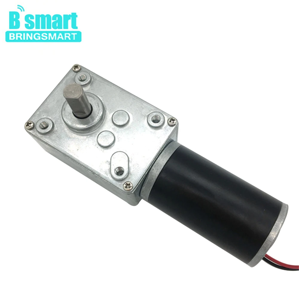 

Bringsmart A58SW31ZY High Torque Worm Geared Motor DC 12V 24V DC Motor Mini Self-lock Gearbox Reversible for DIY Curtain Machine